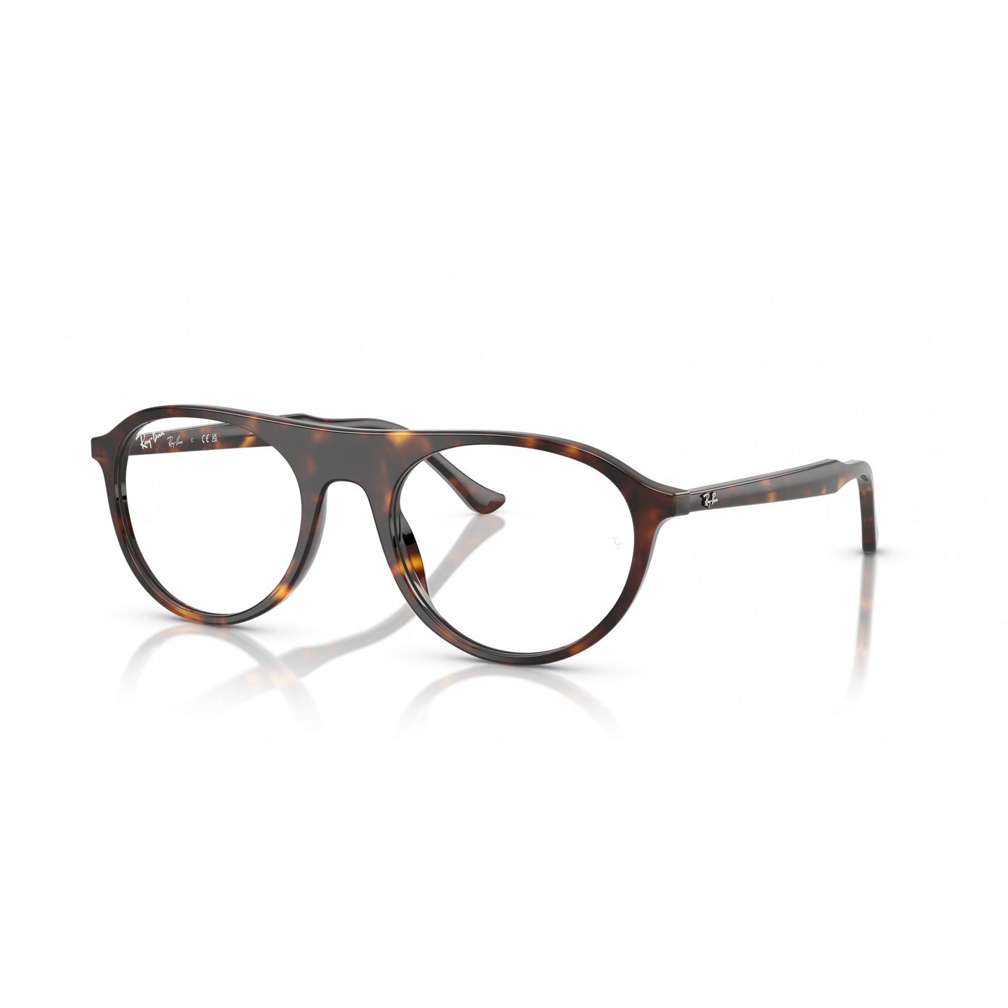 Ray-Ban 0RX5441
