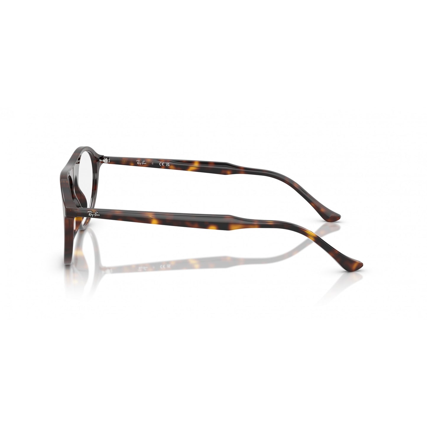 Ray-Ban 0RX5441