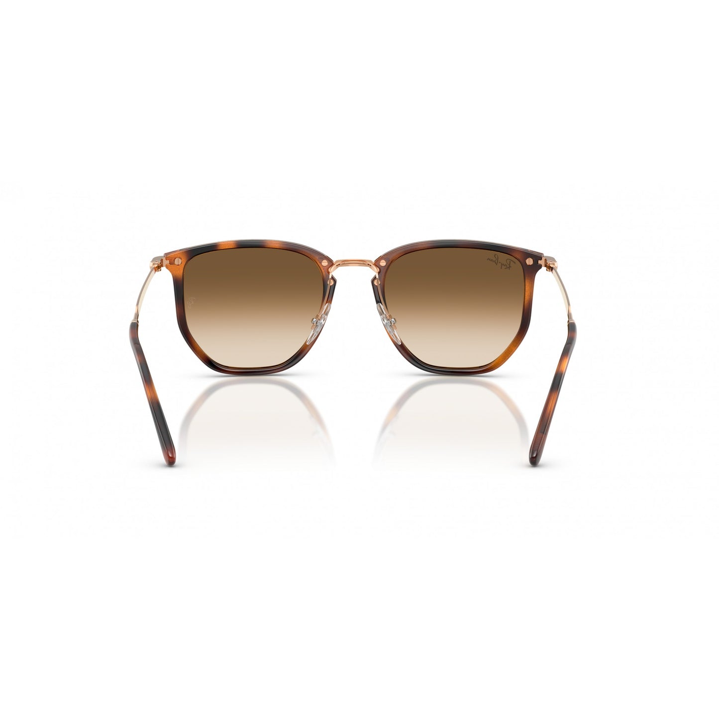 Ray-Ban 0RB4451