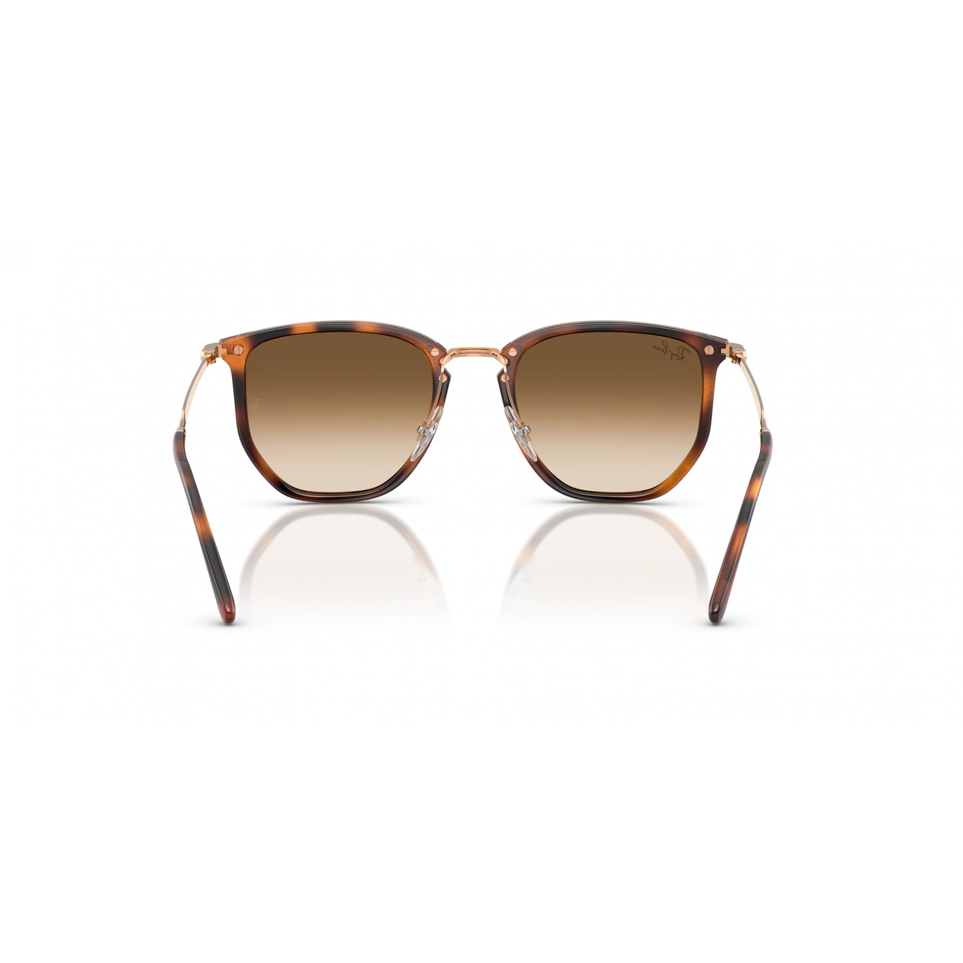 Ray-Ban 0RB4451