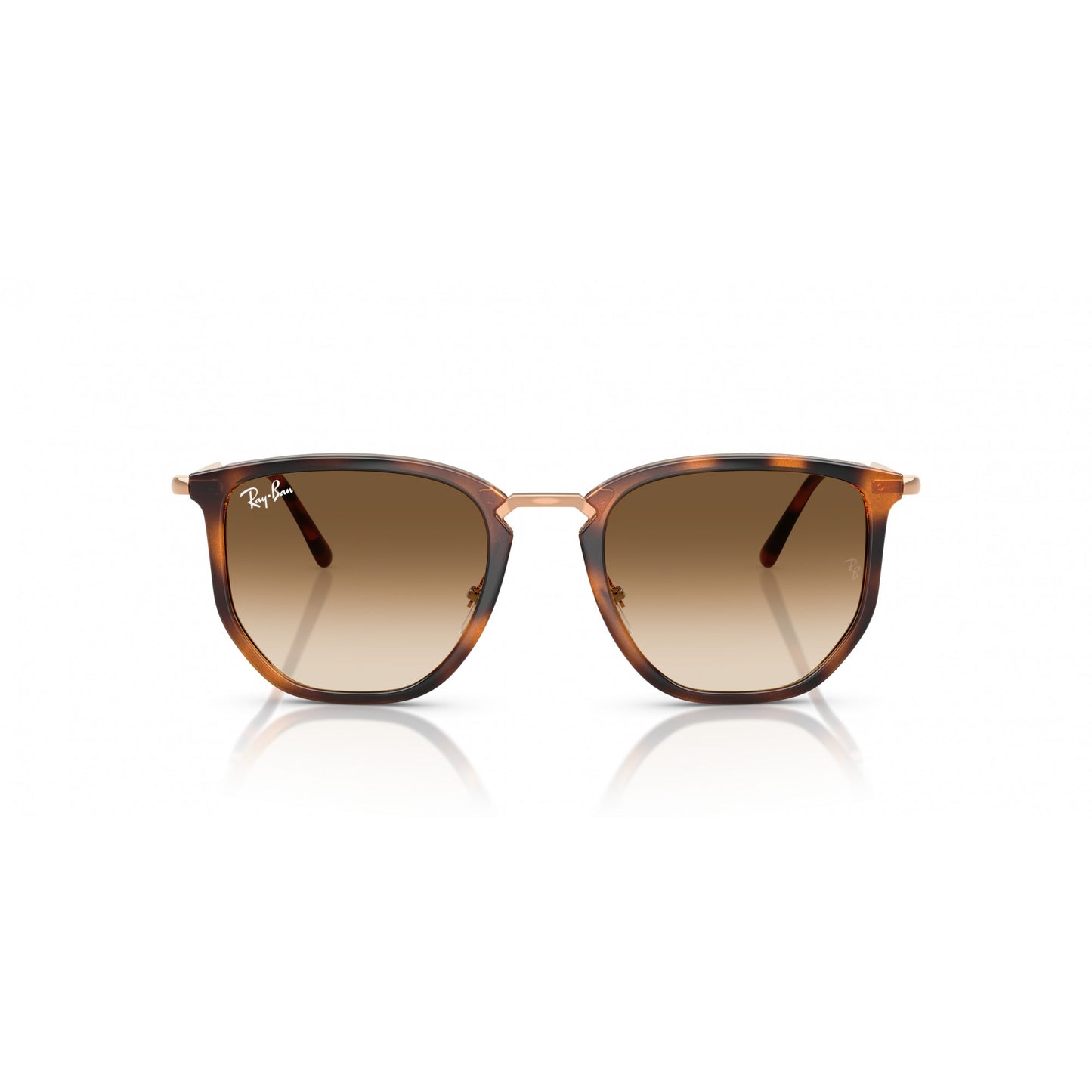 Ray-Ban 0RB4451