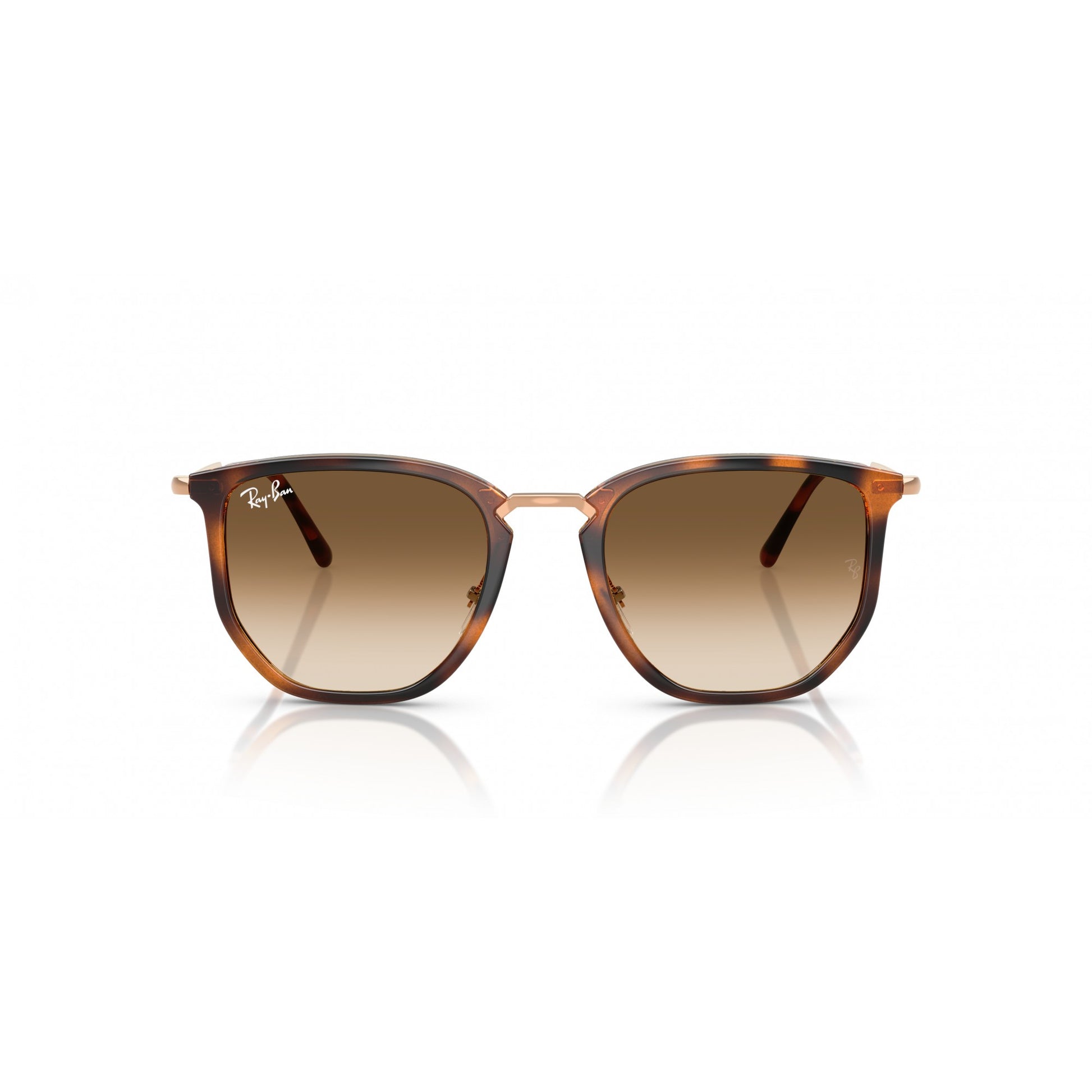 Ray-Ban 0RB4451