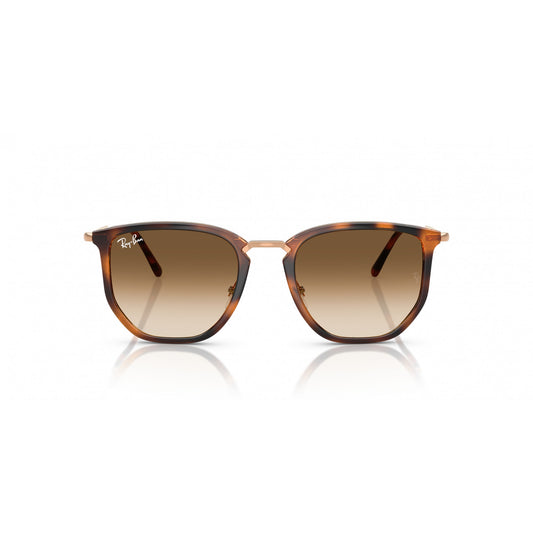 Ray-Ban 0RB4451