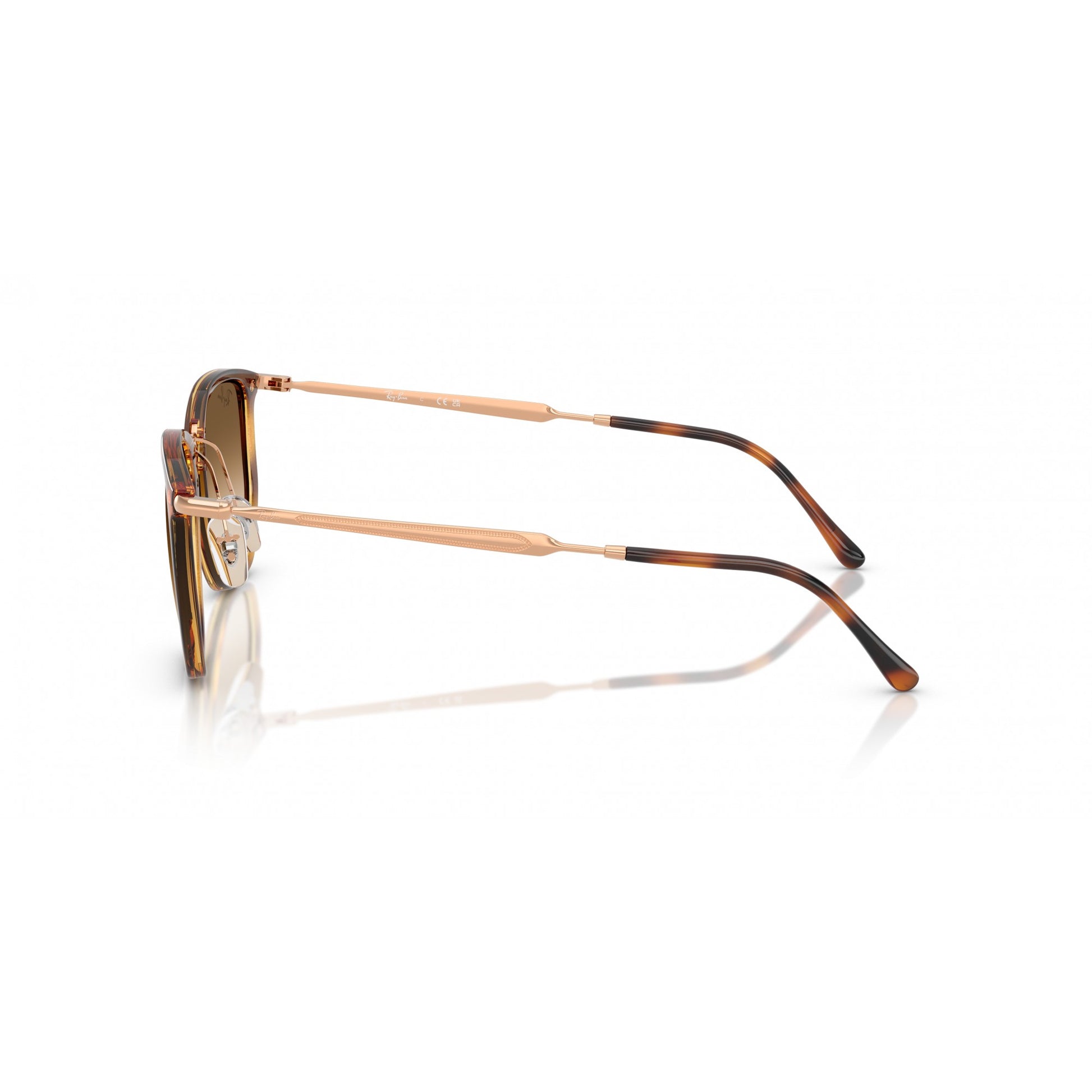 Ray-Ban 0RB4451