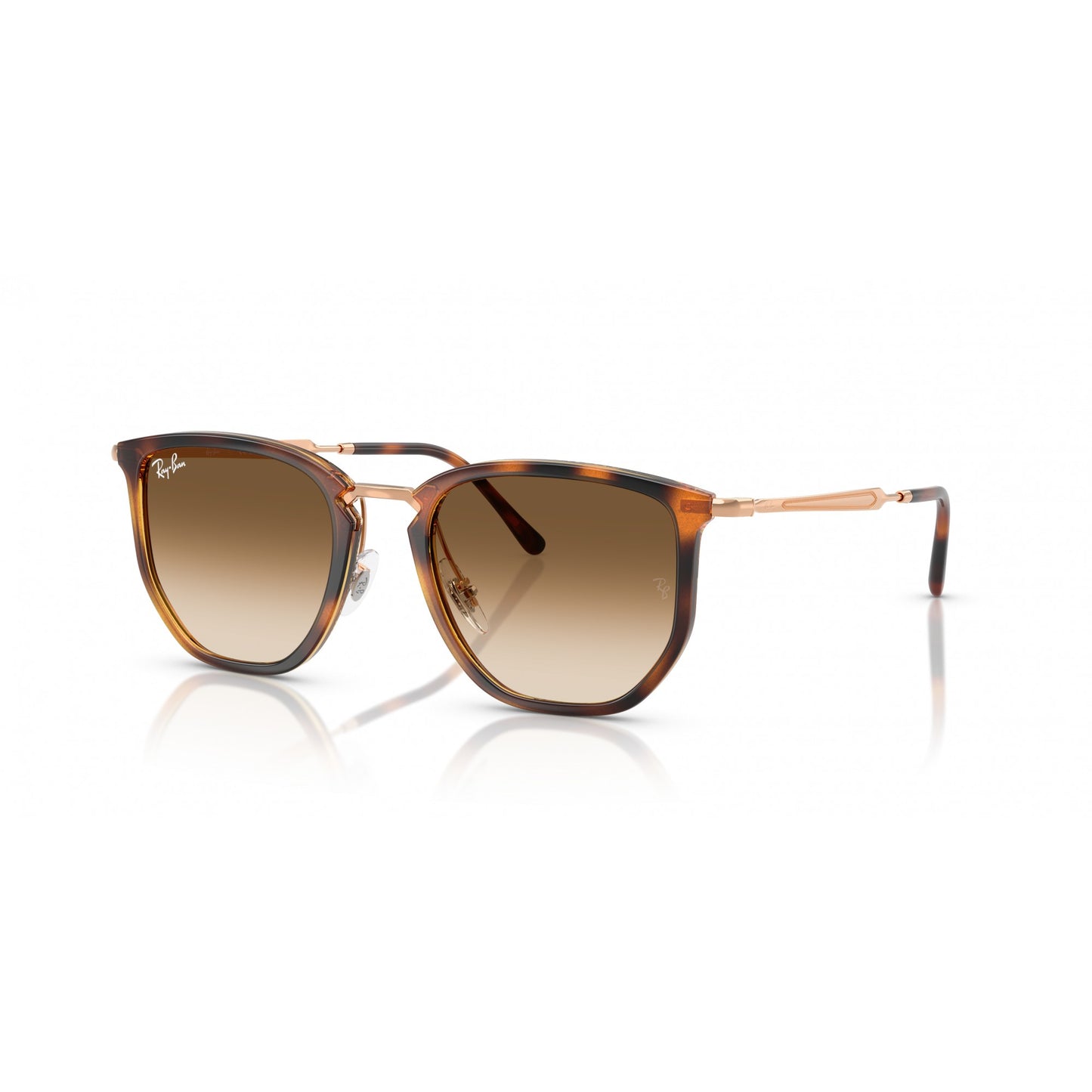 Ray-Ban 0RB4451