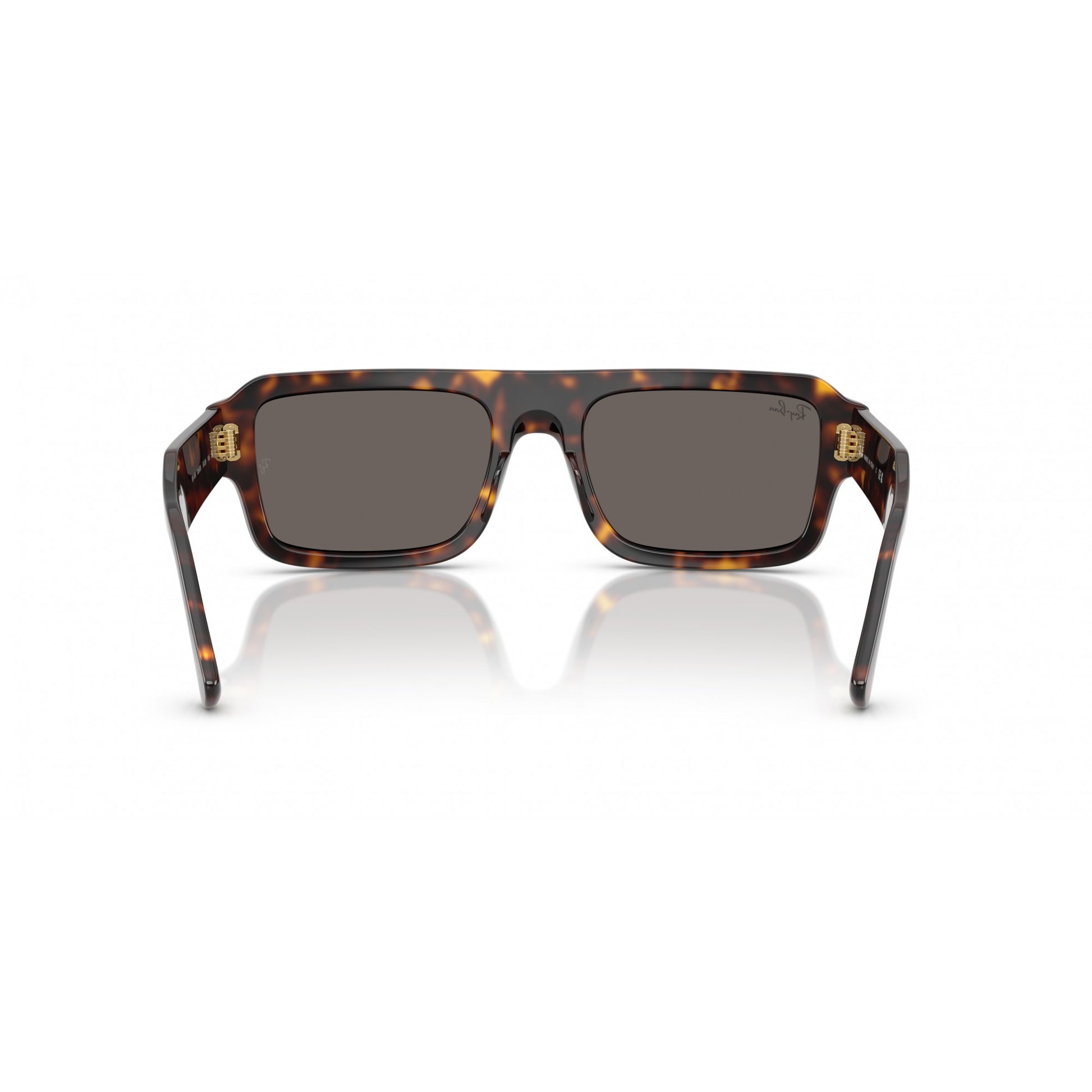 Ray-Ban 0RB4454