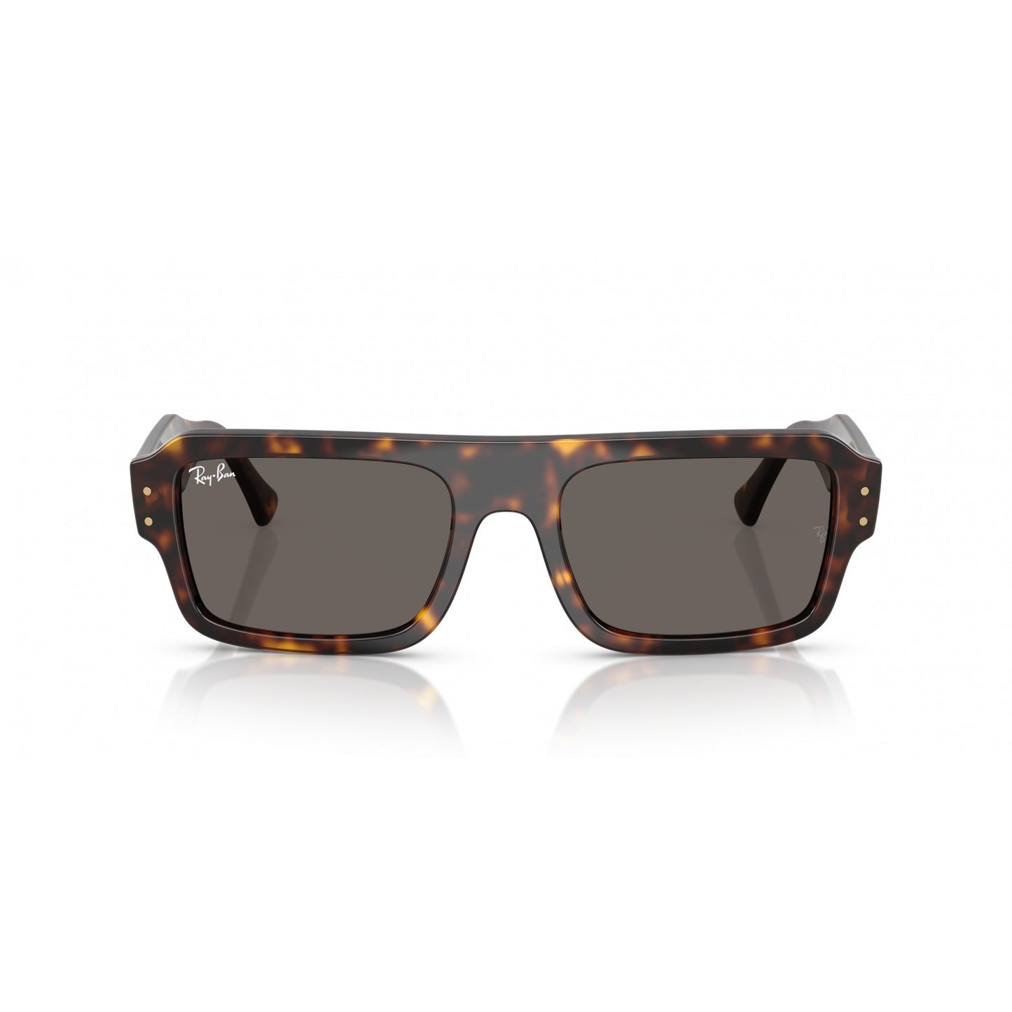 Ray-Ban 0RB4454