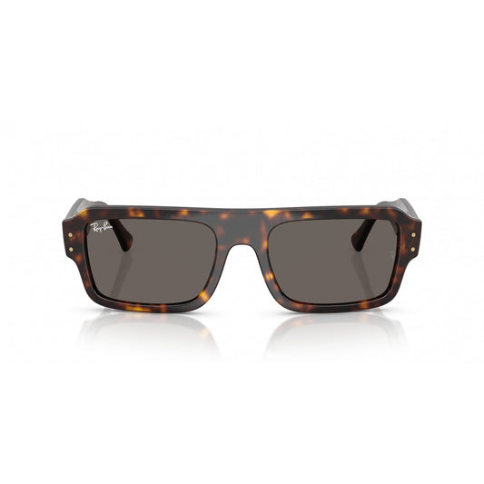 Ray-Ban 0RB4454