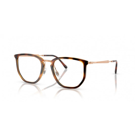 Ray-Ban 0RX4451V