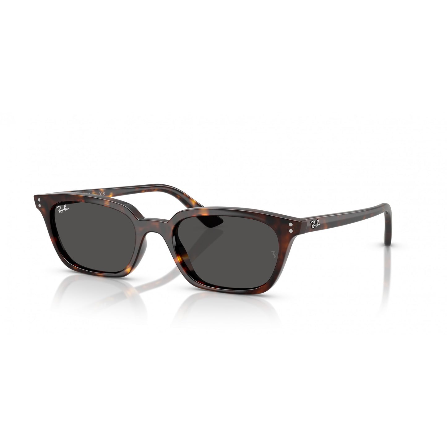 Ray-Ban 0RB4456
