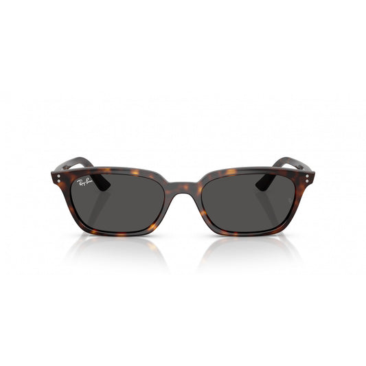 Ray-Ban 0RB4456