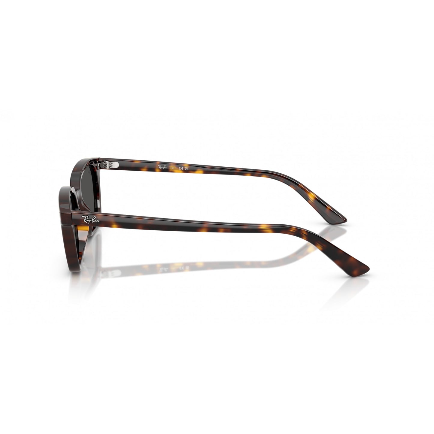 Ray-Ban 0RB4456