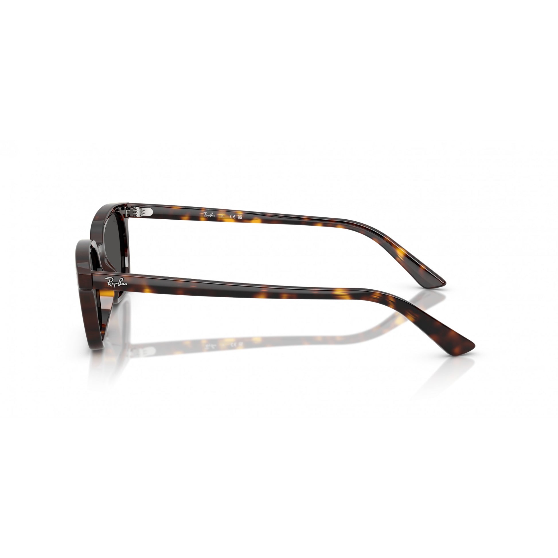 Ray-Ban 0RB4456