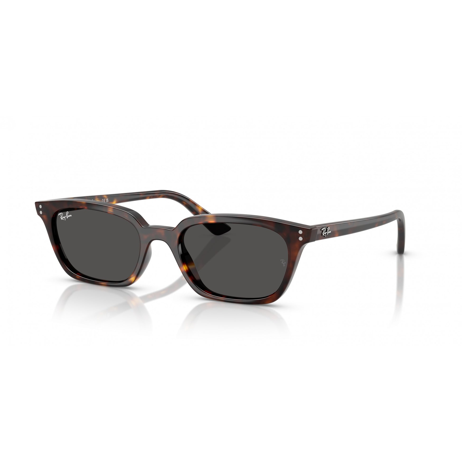 Ray-Ban 0RB4456