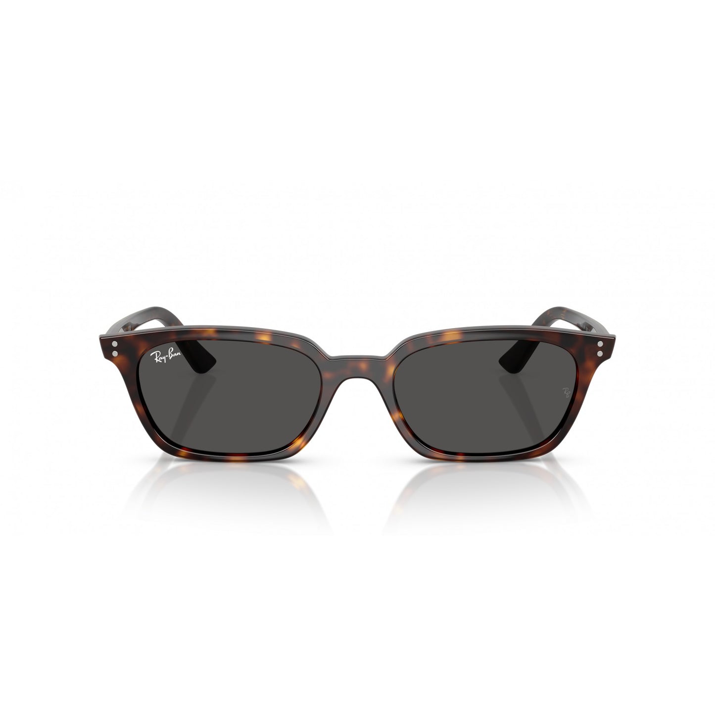 Ray-Ban 0RB4456
