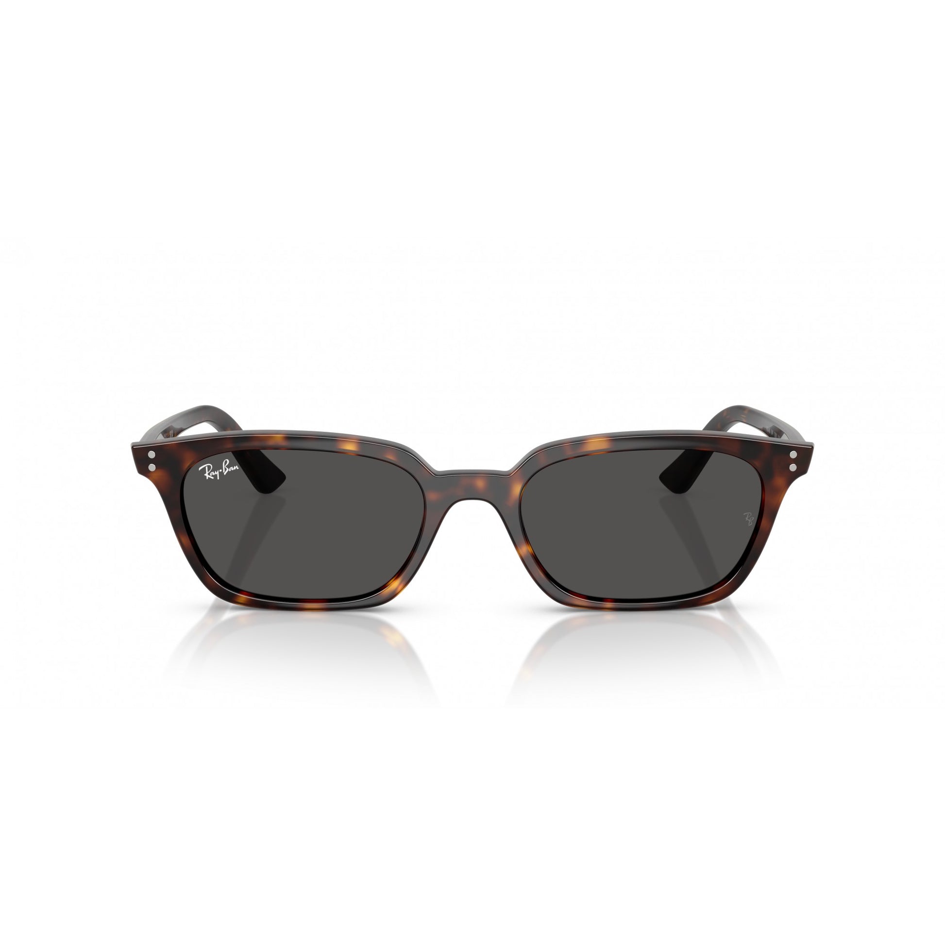 Ray-Ban 0RB4456