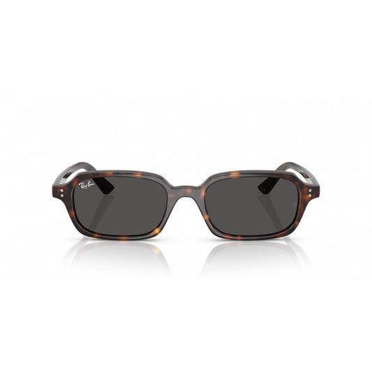 Ray-Ban 0RB4455