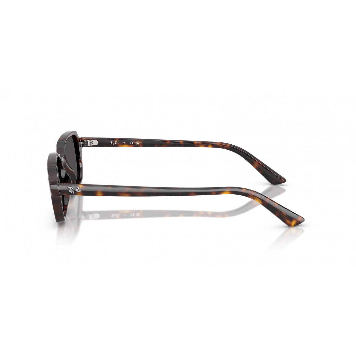 Ray-Ban 0RB4455