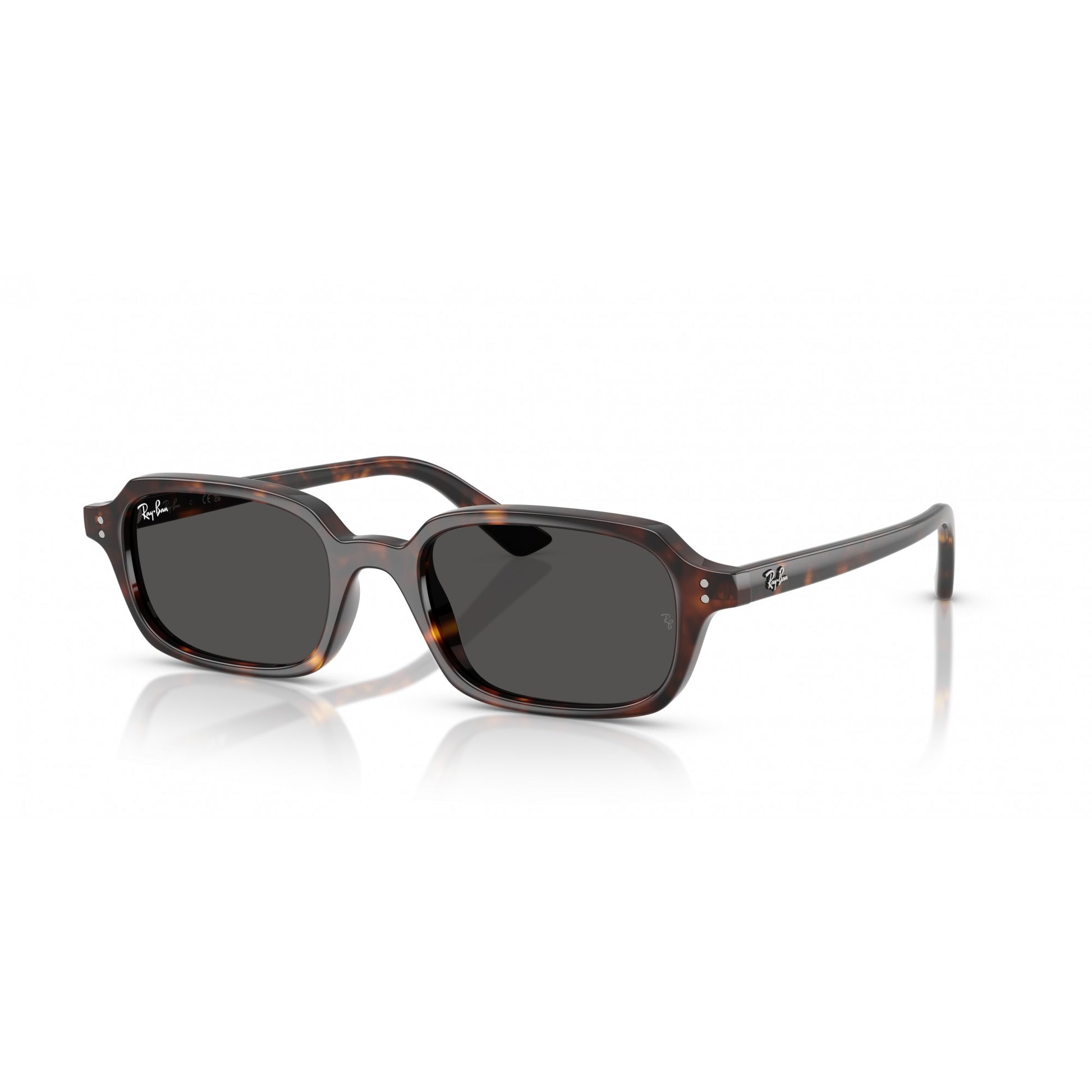 Ray-Ban 0RB4455