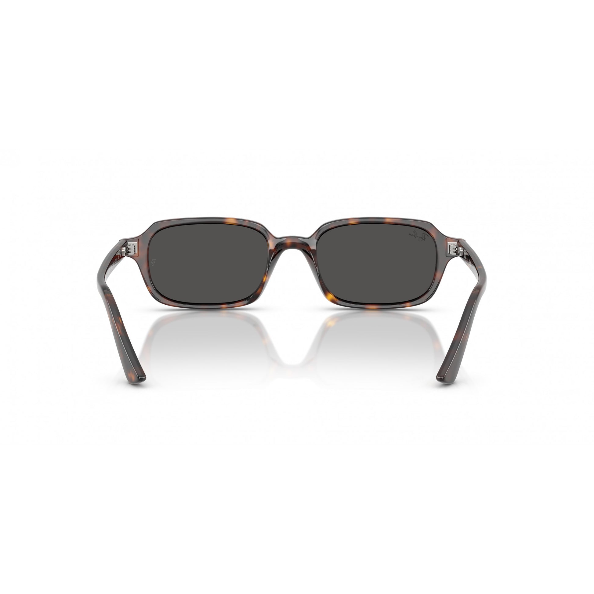 Ray-Ban 0RB4455