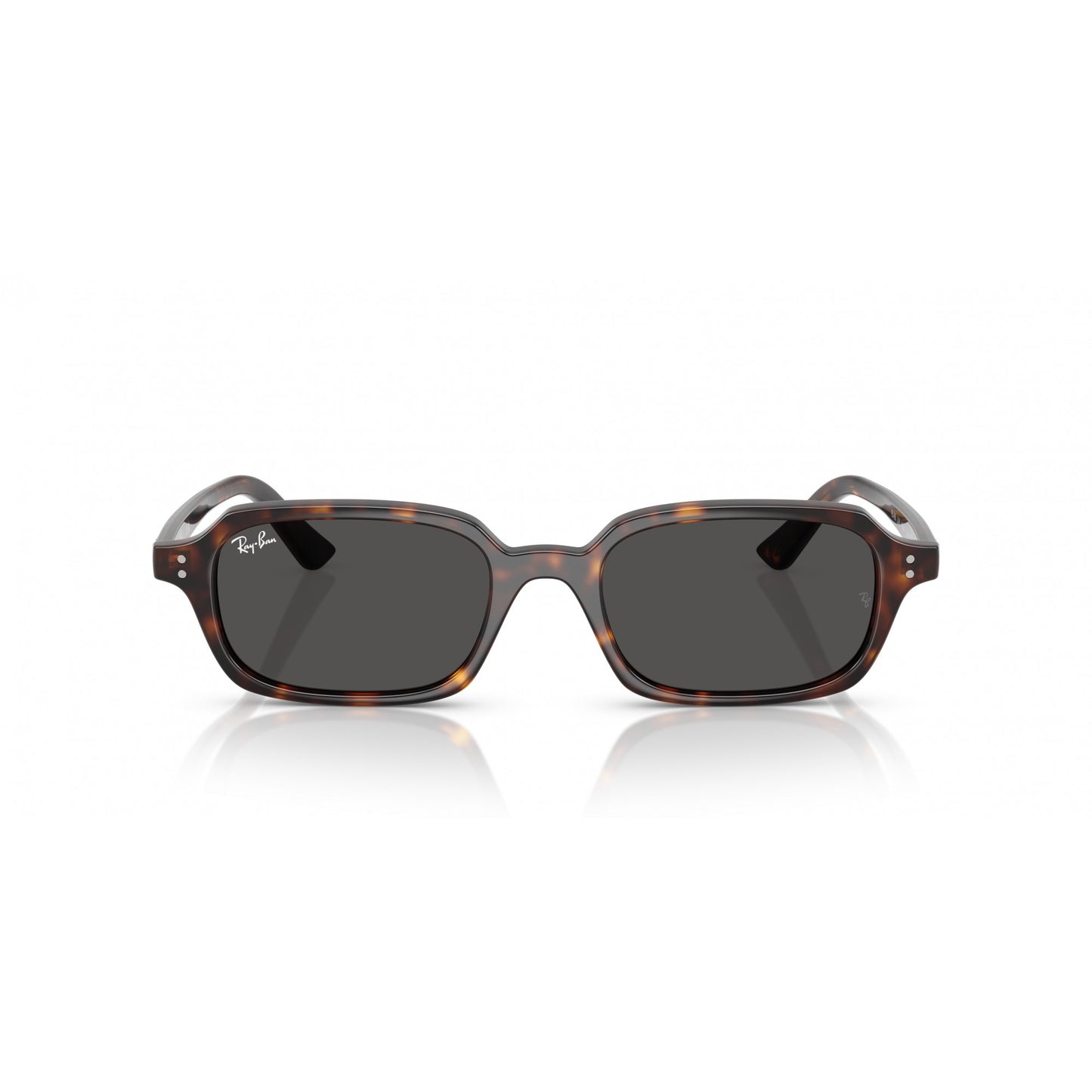 Ray-Ban 0RB4455