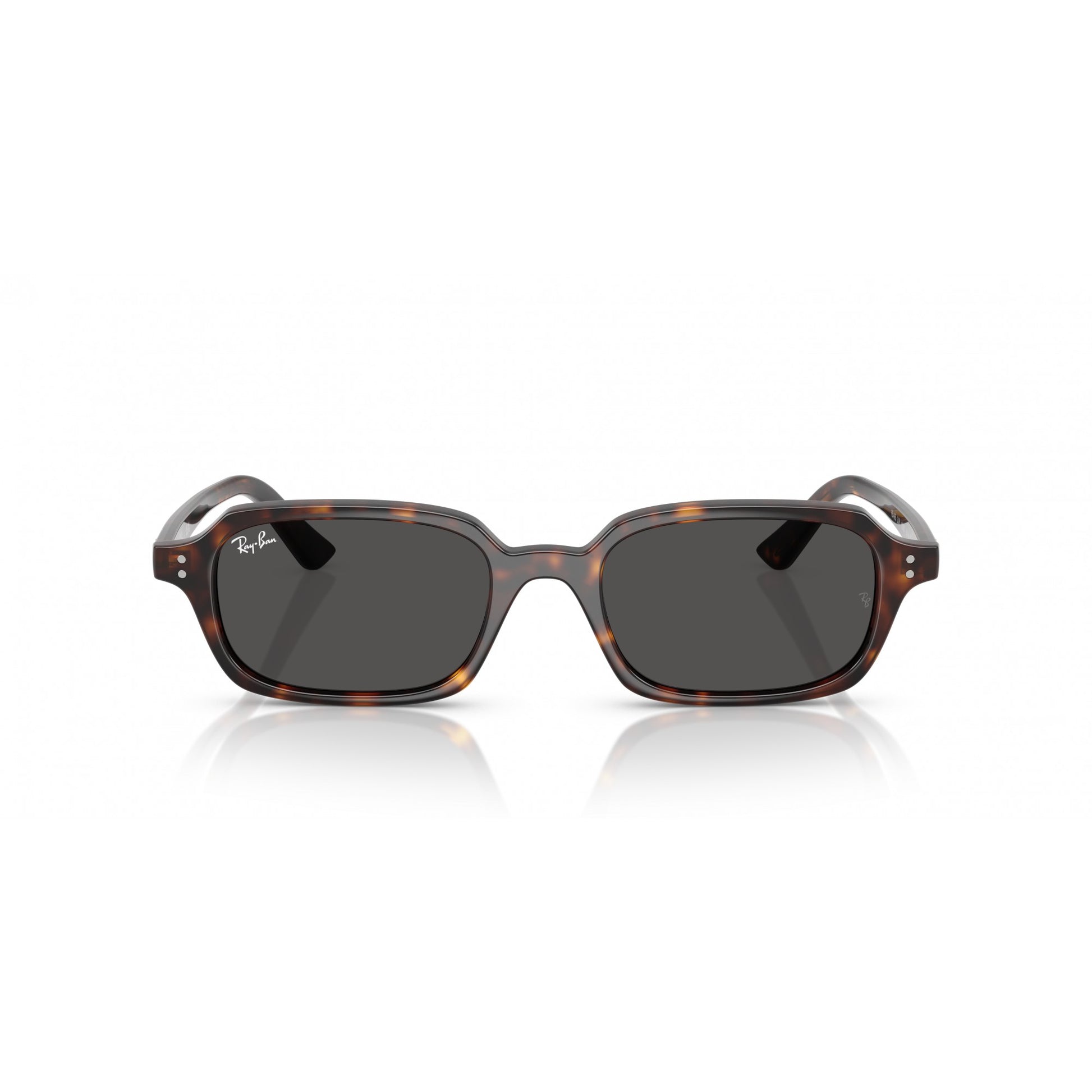 Ray-Ban 0RB4455