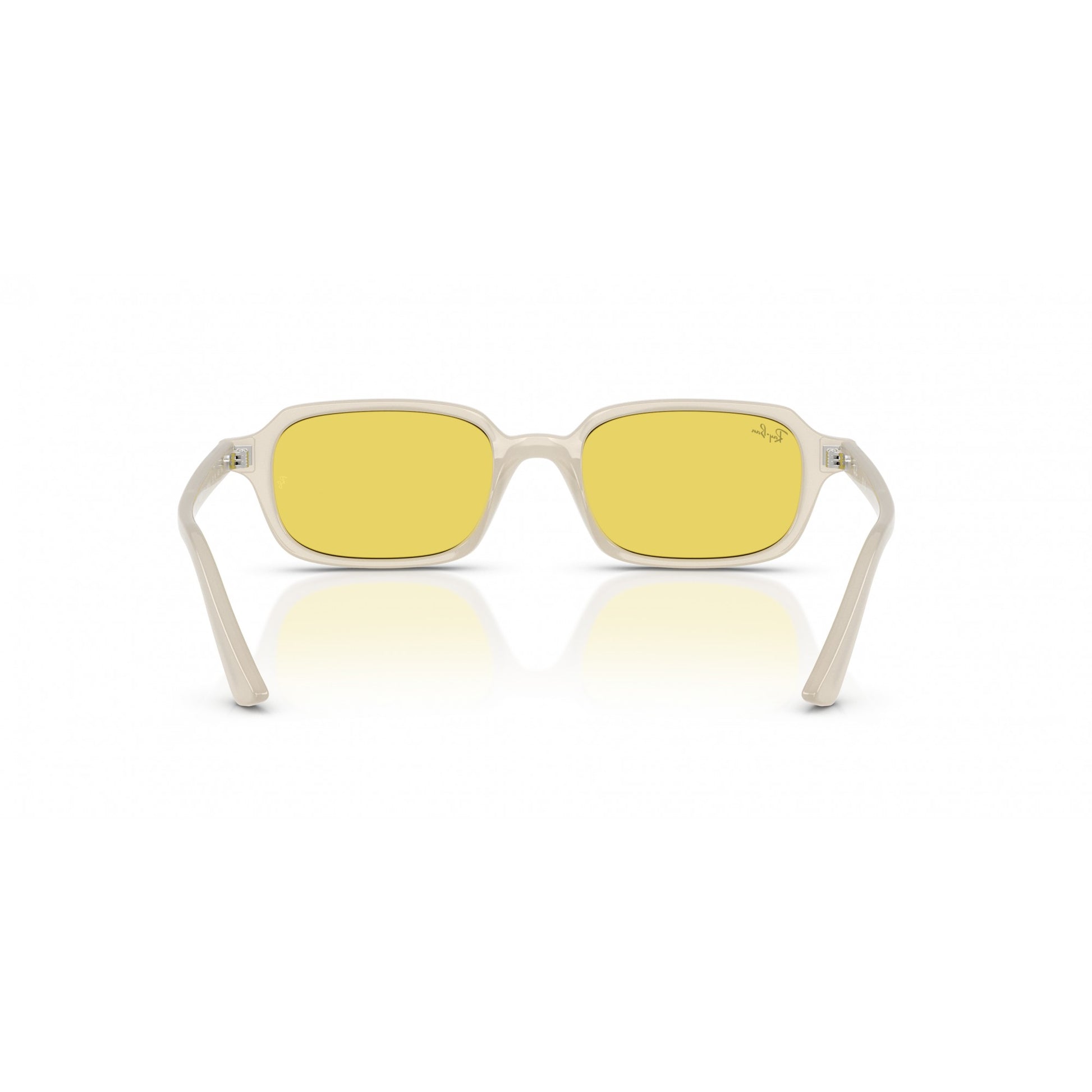 Ray-Ban 0RB4455