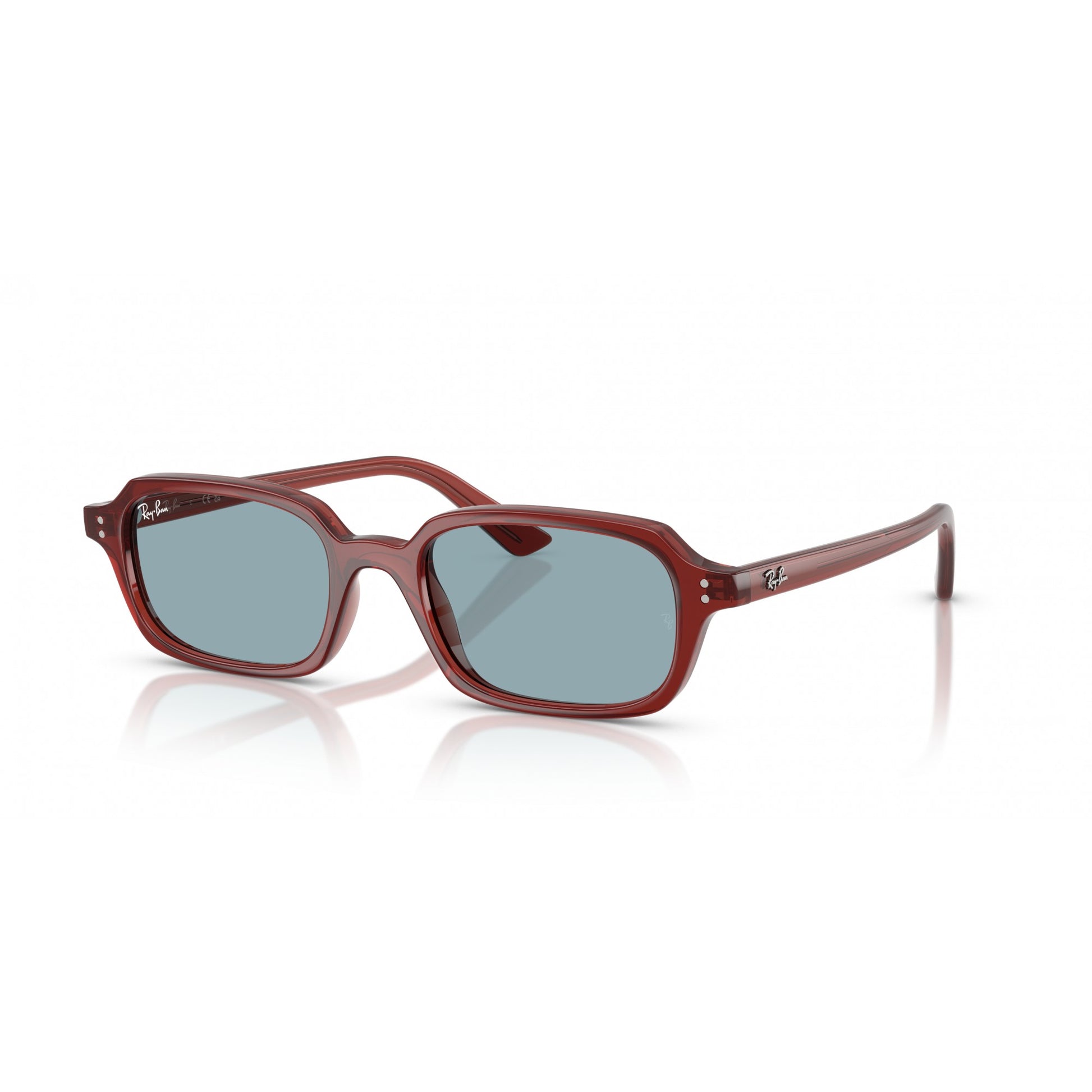 Ray-Ban 0RB4455