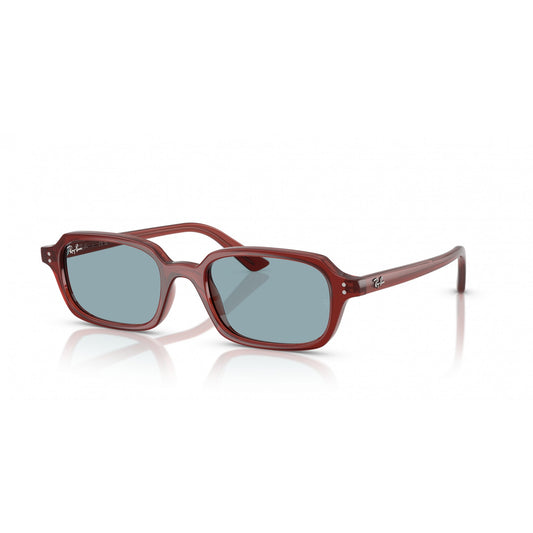 Ray-Ban 0RB4455