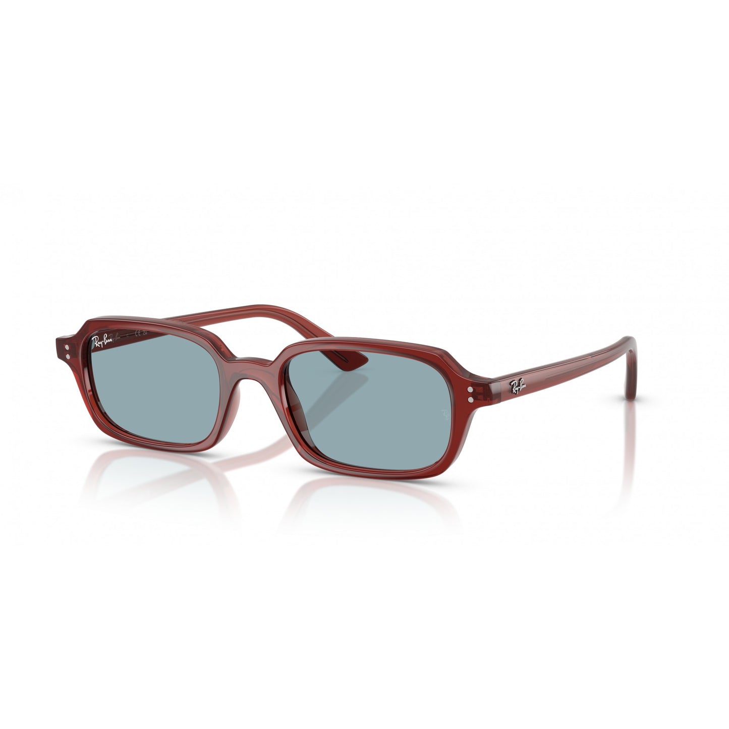 Ray-Ban 0RB4455