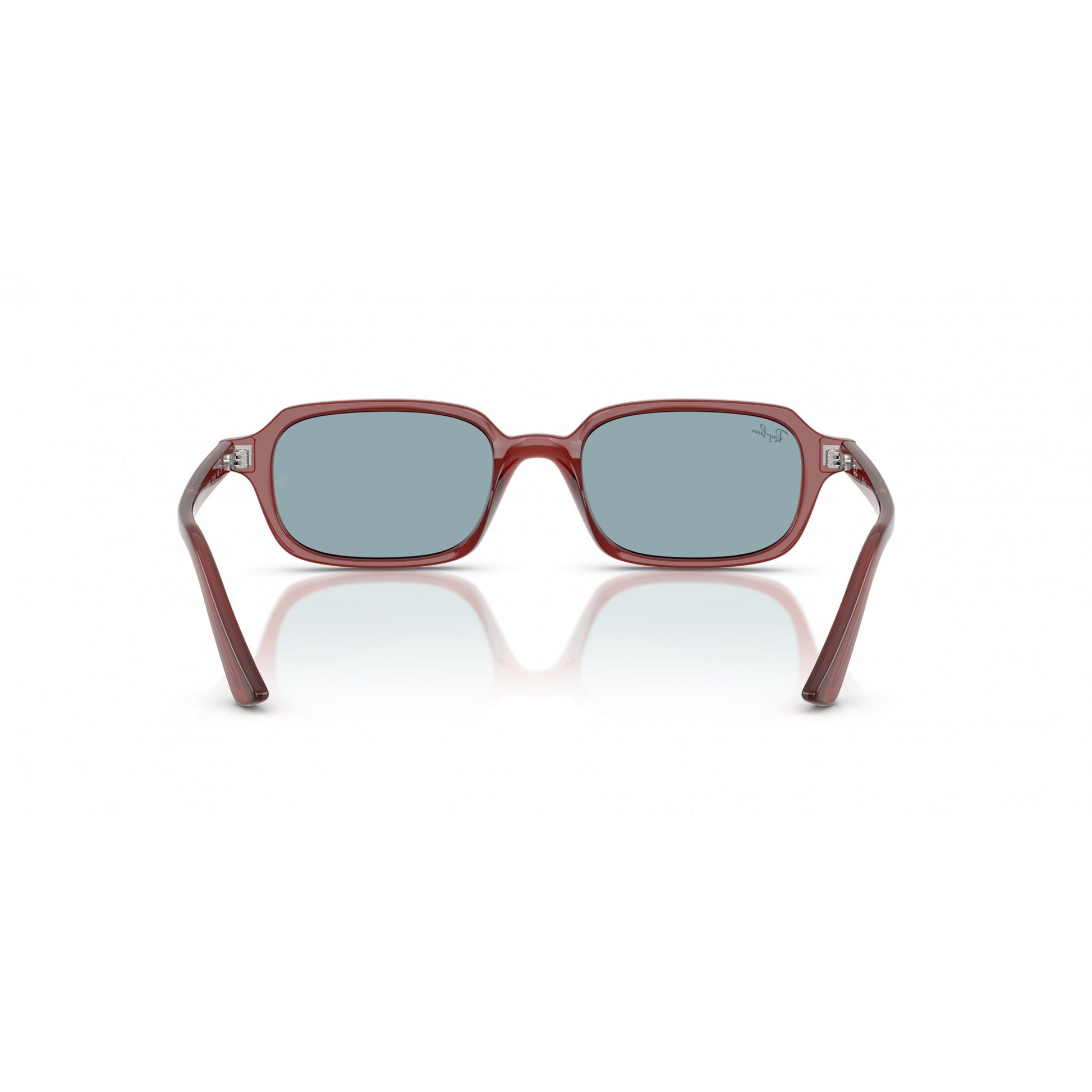 Ray-Ban 0RB4455