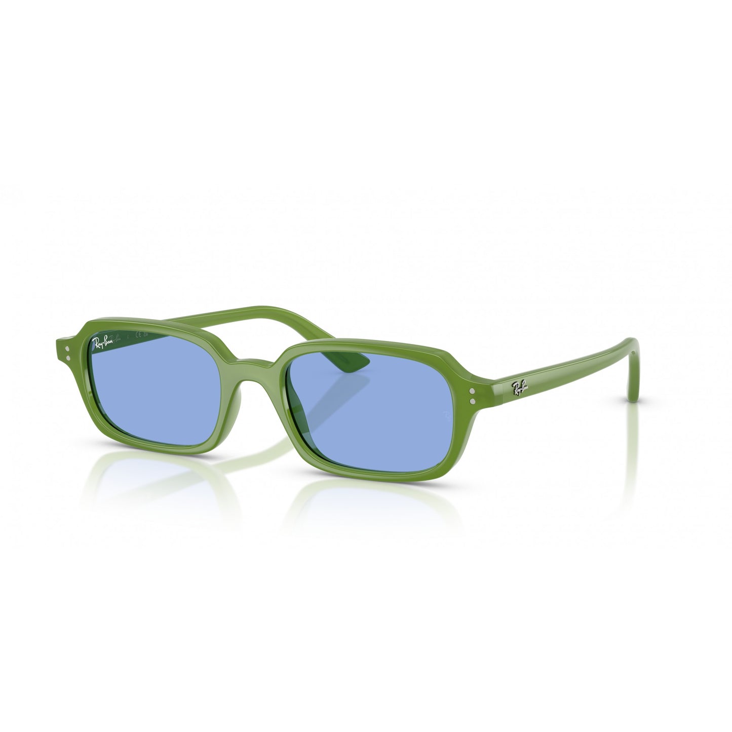 Ray-Ban 0RB4455