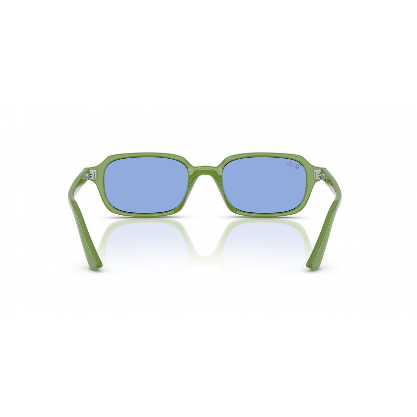 Ray-Ban 0RB4455