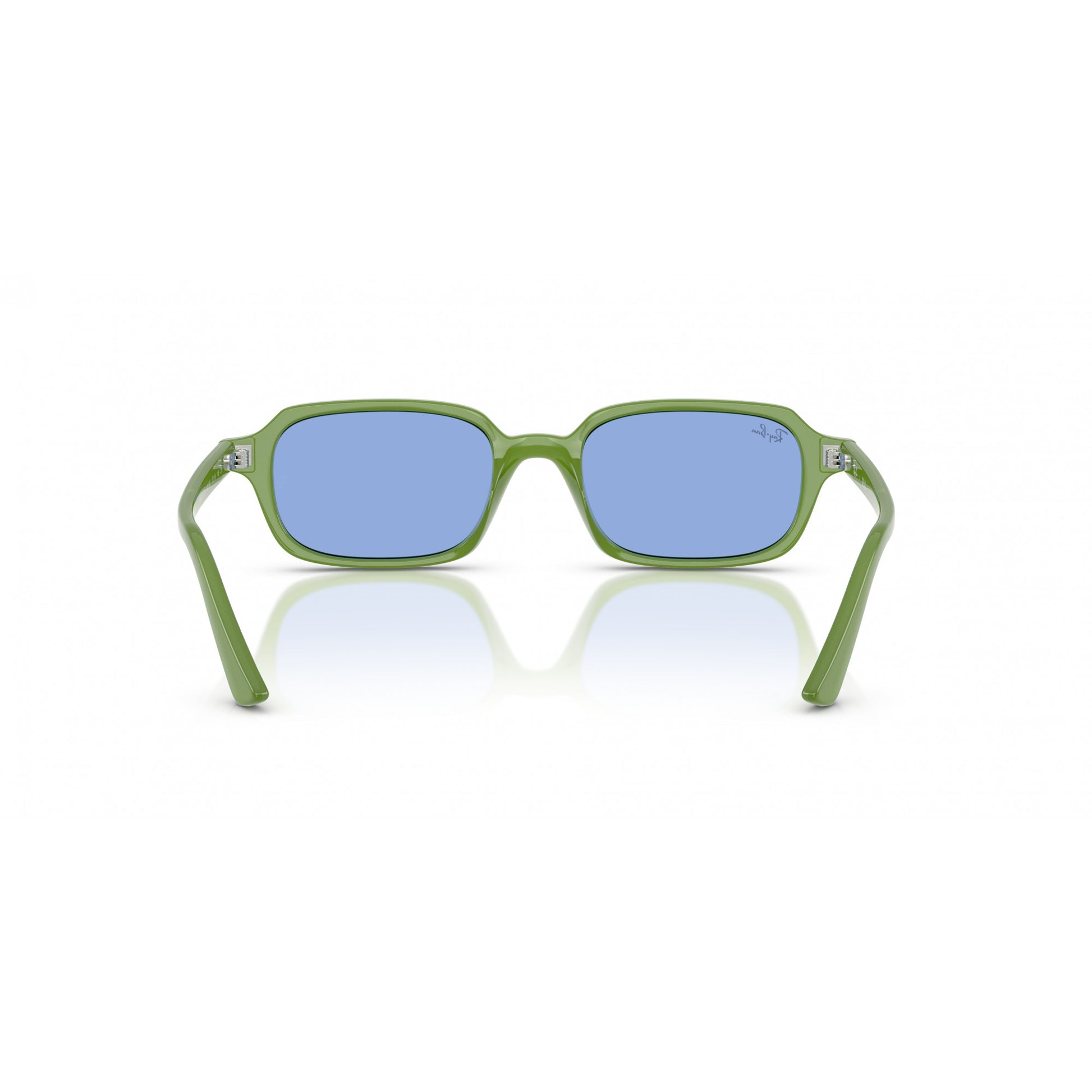 Ray-Ban 0RB4455