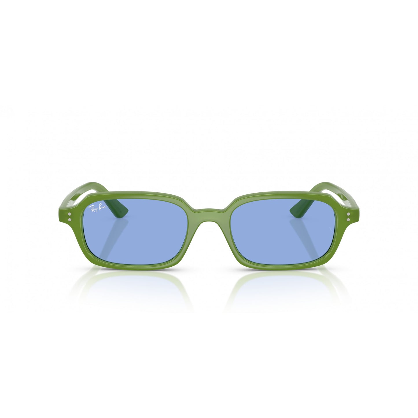Ray-Ban 0RB4455