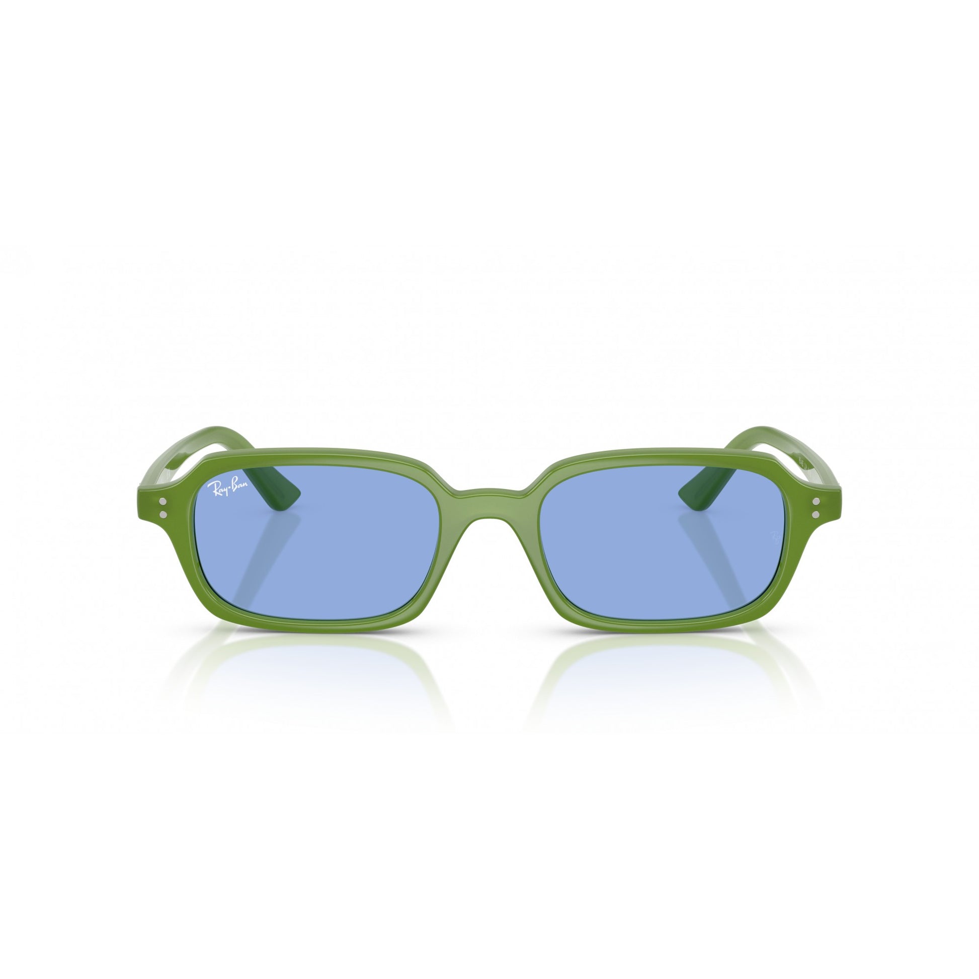 Ray-Ban 0RB4455