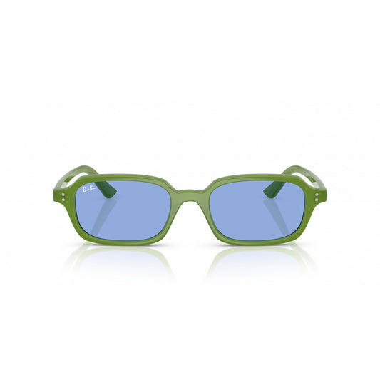 Ray-Ban 0RB4455