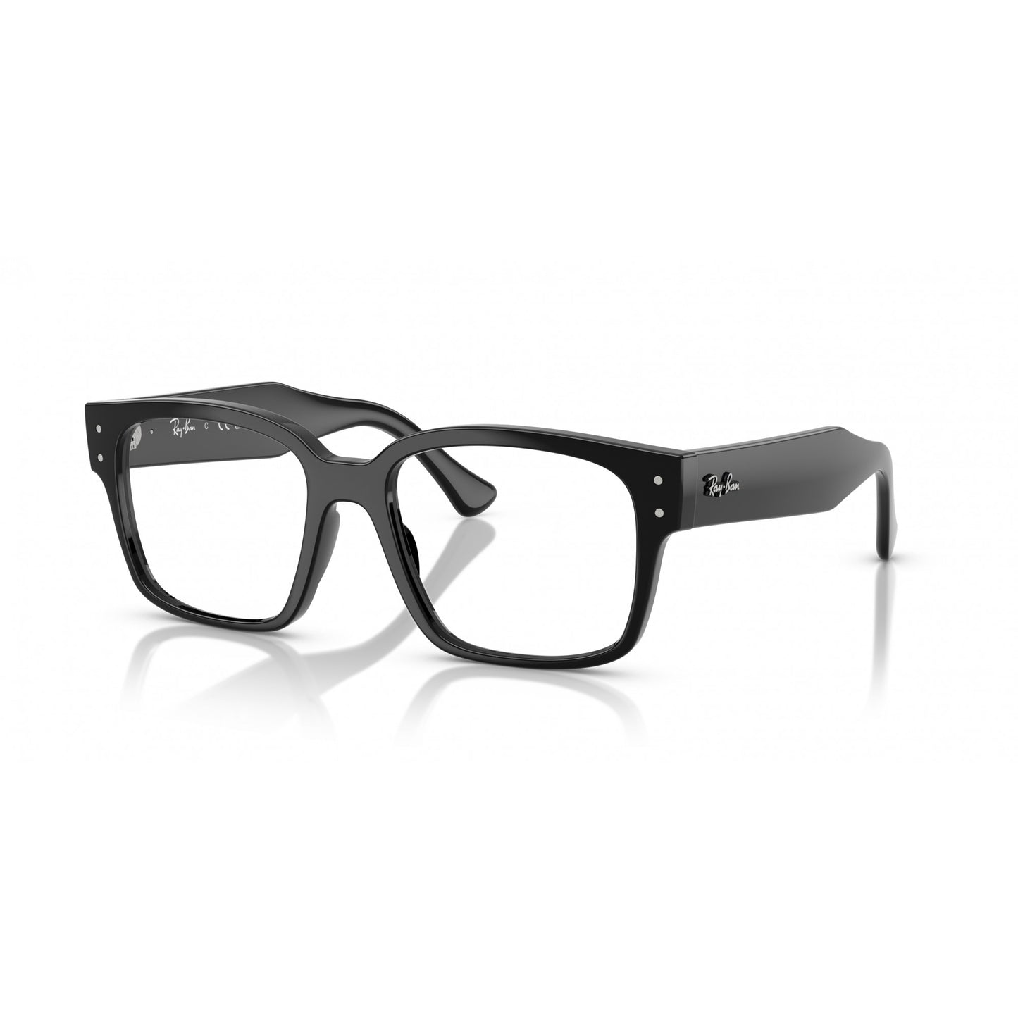 Ray-Ban 0RX7256