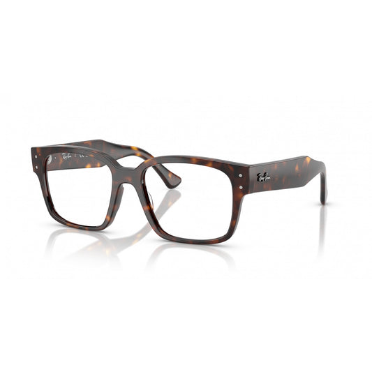 Ray-Ban 0RX7256