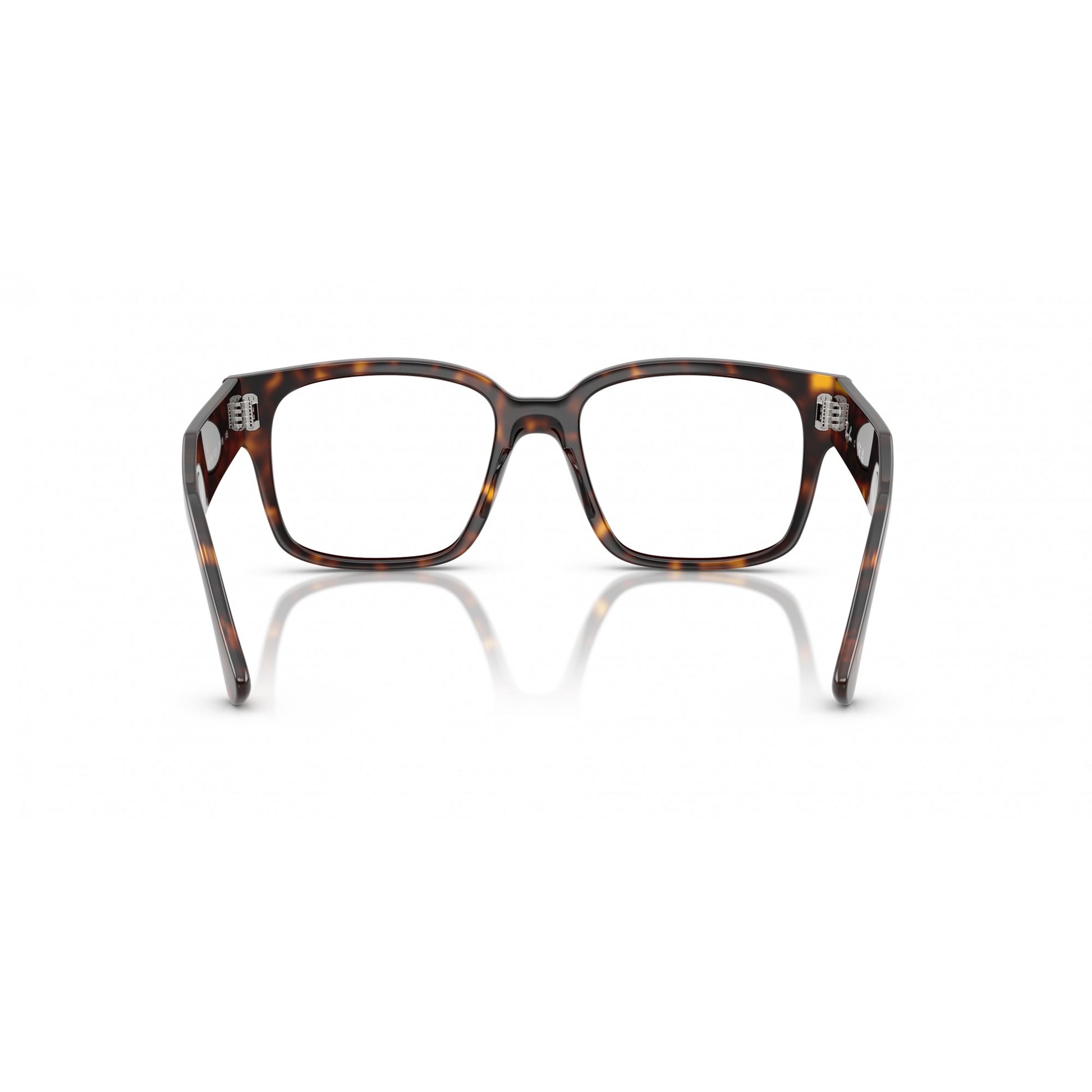 Ray-Ban 0RX7256