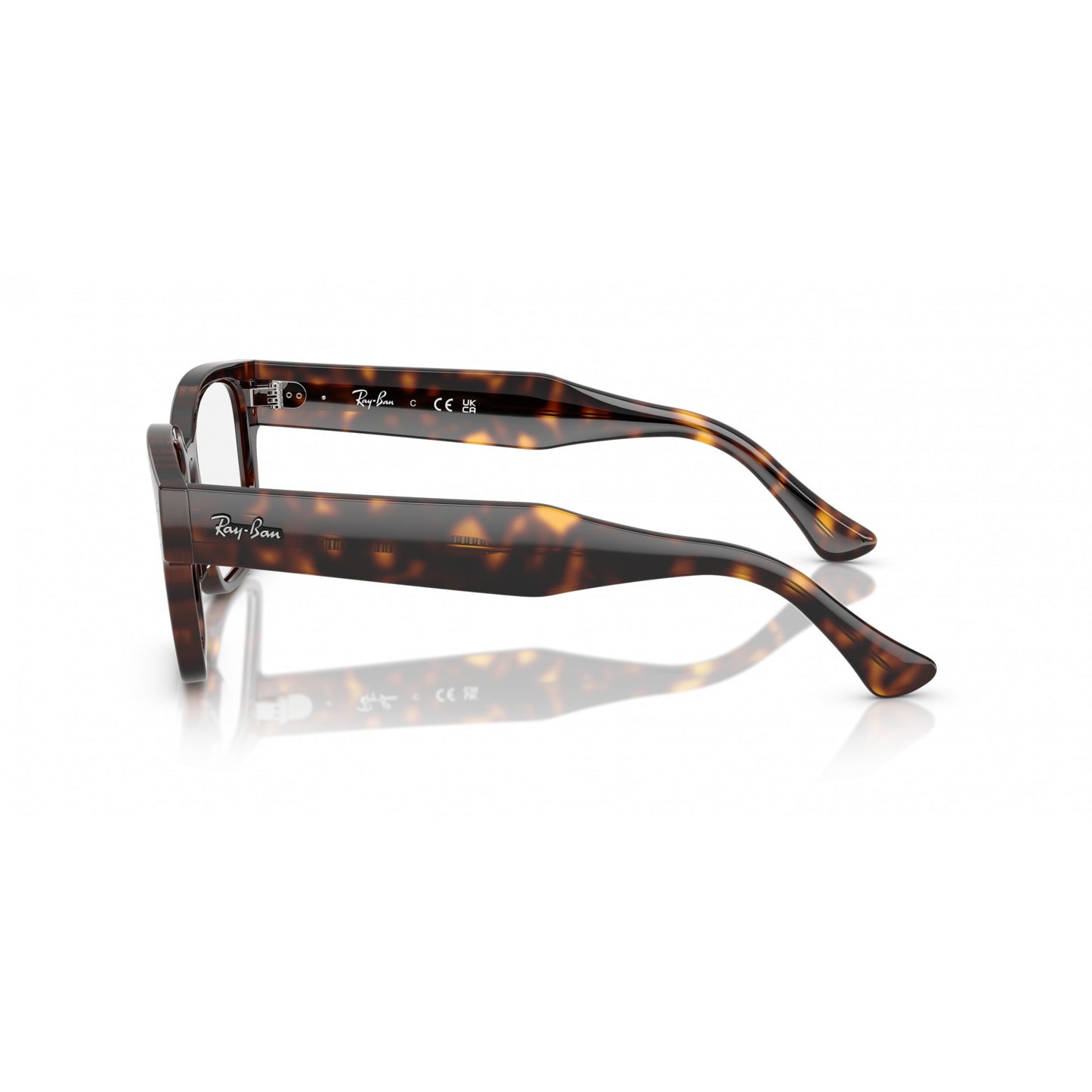 Ray-Ban 0RX7256