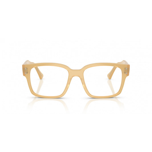 Ray-Ban 0RX7256