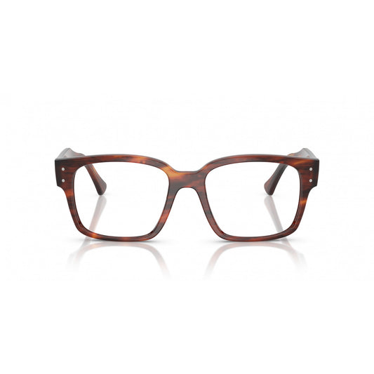 Ray-Ban 0RX7256