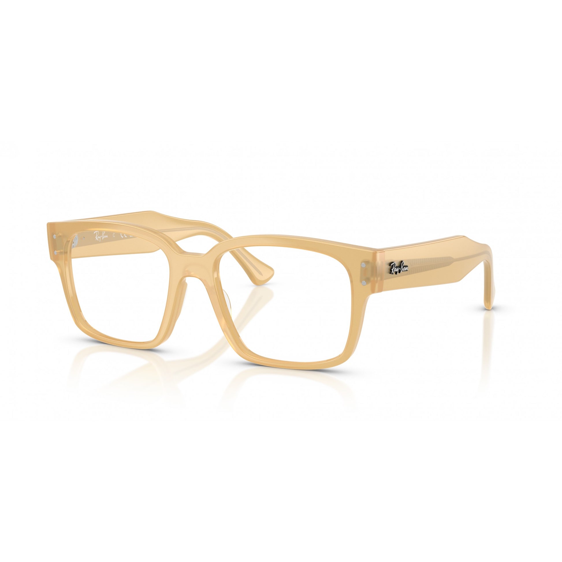 Ray-Ban 0RX7256