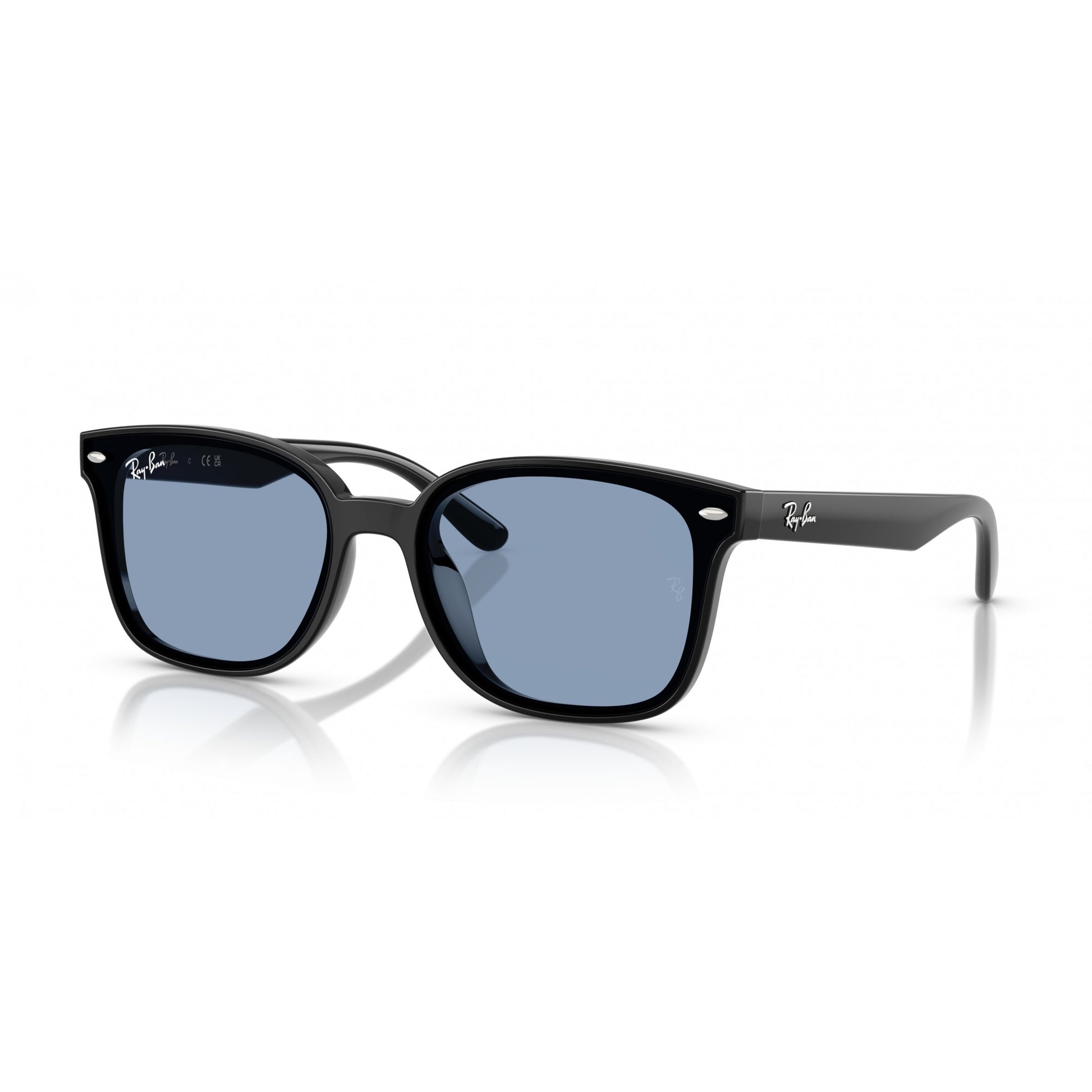 Ray-Ban 0RB4461D