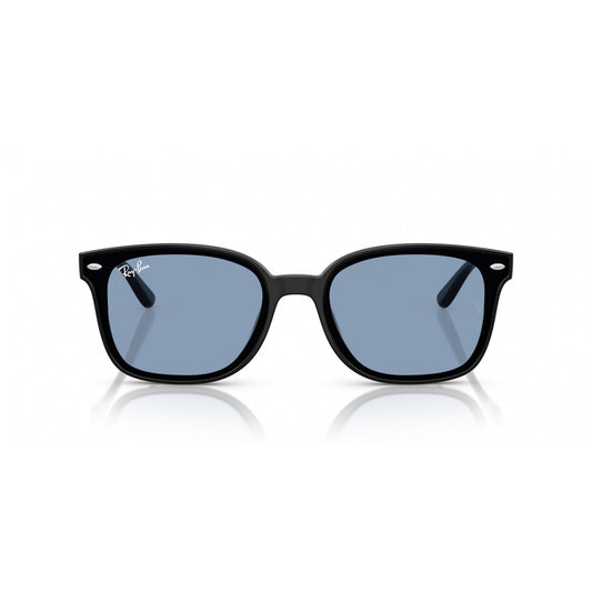 Ray-Ban 0RB4461D