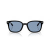 Ray-Ban 0RB4461D