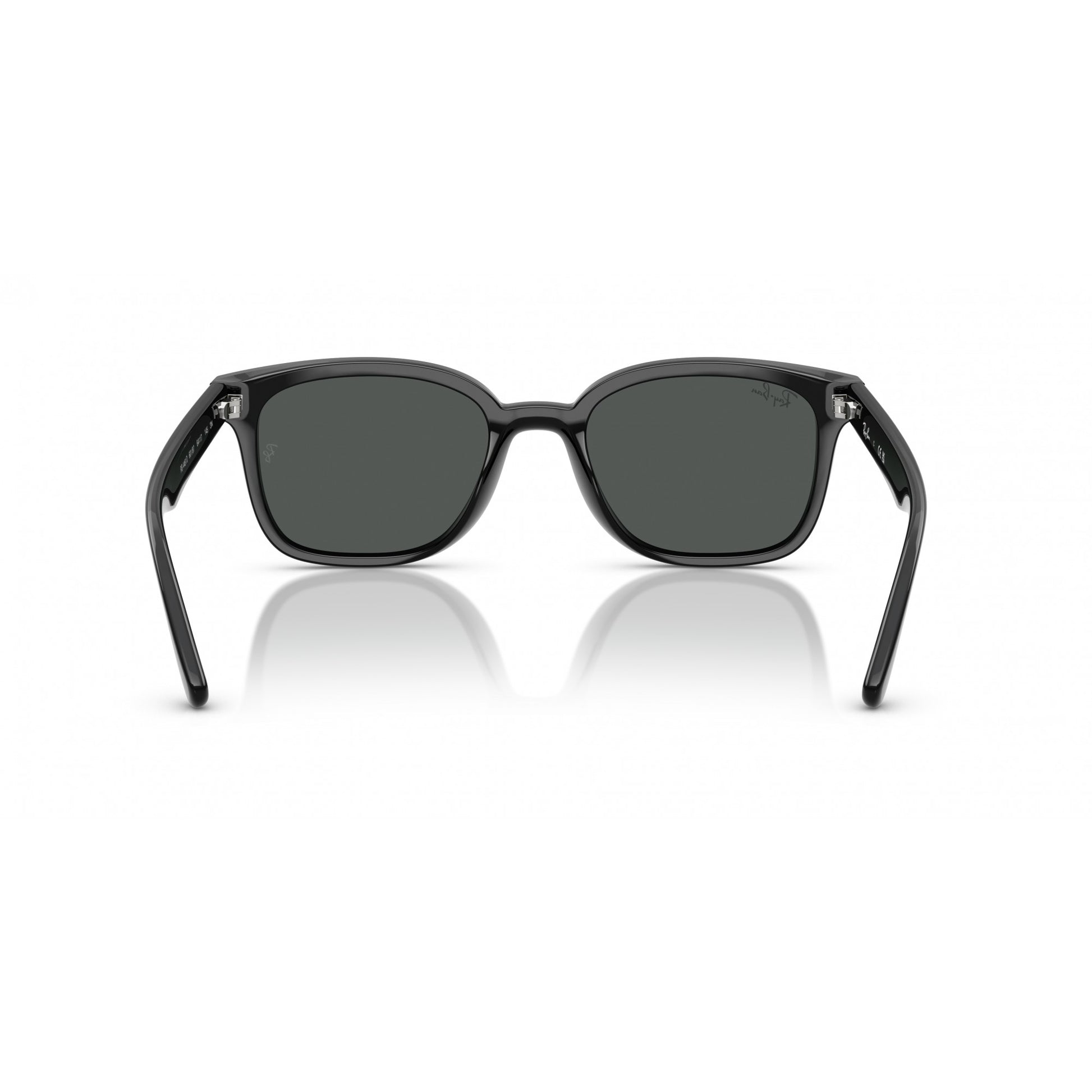 Ray-Ban 0RB4461D