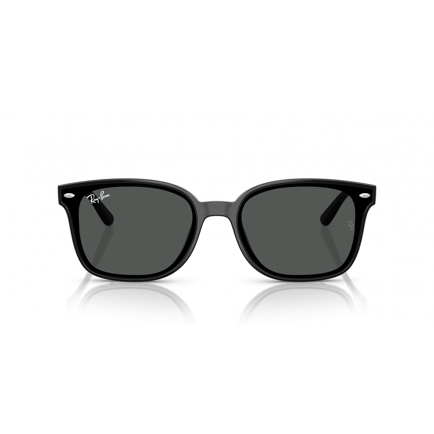 Ray-Ban 0RB4461D
