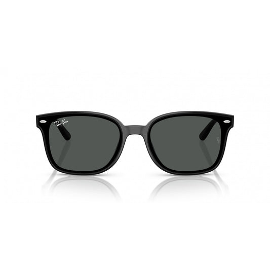 Ray-Ban 0RB4461D